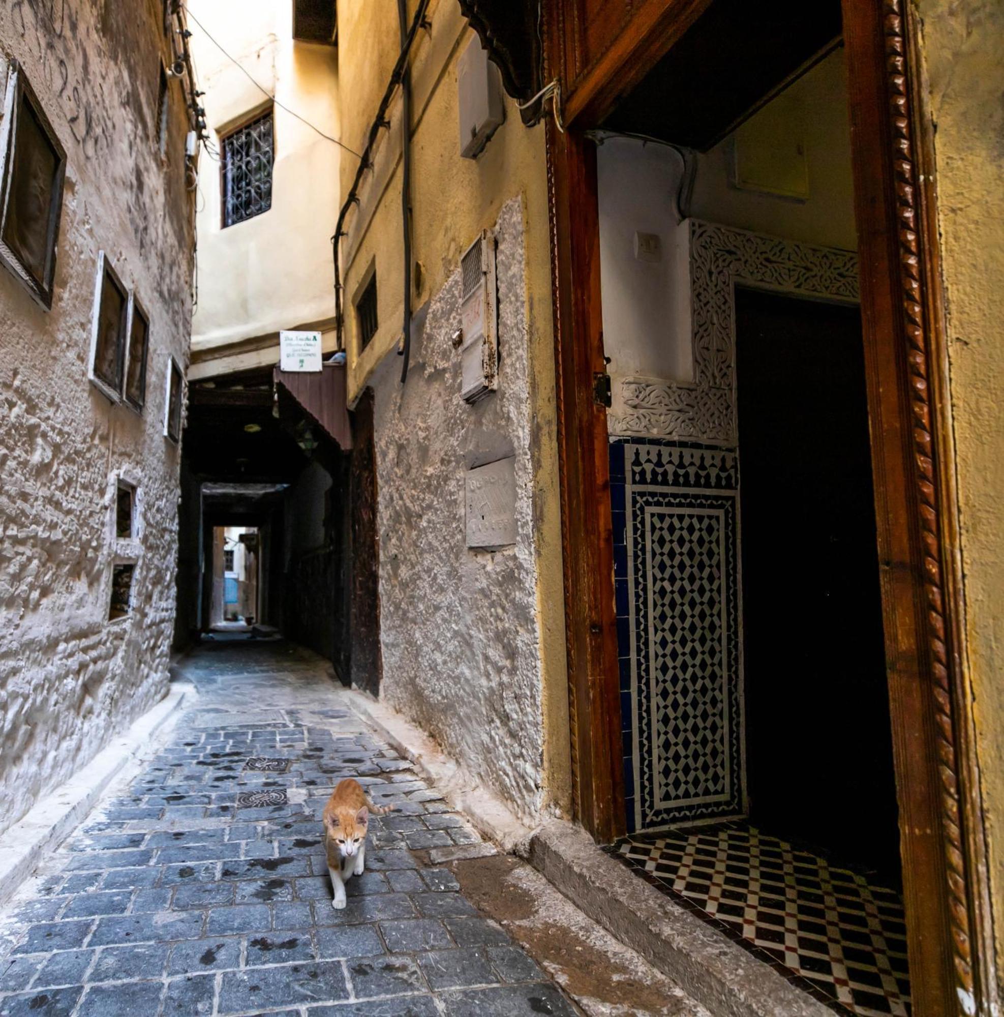 Riad Dar Omar Fez Eksteriør billede